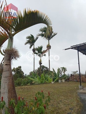 Dijual Hunian Rumah Terawat 1 Kamar di Cihanjuang, Bandung Dijual Hunian Rumah Terawat 1 Kamar di Cihanjuang, Bandung