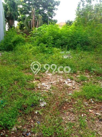 Tanah Lokasi Premium Kawasan , Luas 200m2m², Cocok untuk Investasi Tanah Lokasi Premium Kawasan , Luas 200m2m², Cocok untuk Investasi