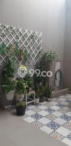 Rumah Luas Asri 3 KT Siap Pakai di Bintaro Tangerang Selatan Rumah Luas Asri 3 KT Siap Pakai di Bintaro Tangerang Selatan