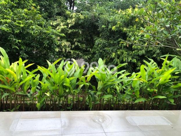 Rumah Luxury Modern Tanpa Renovasi di Lebak Bulus Jakarta Selatan Rumah Luxury Modern Tanpa Renovasi di Lebak Bulus Jakarta Selatan
