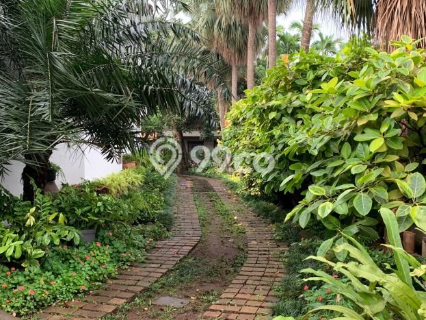 Dijual Rumah Premium dengan Fasilitas Sekitar Komplit di Cilandak, Jakarta Selatan Dijual Rumah Premium dengan Fasilitas Sekitar Komplit di Cilandak, Jakarta Selatan