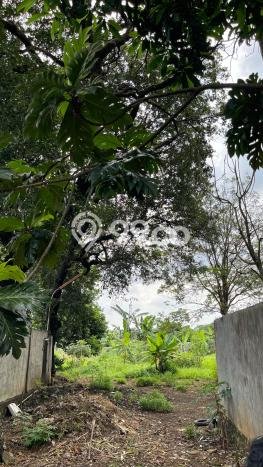Tanah Dijual di Bekasi Seluas 7000m2 Strategis Tanah Dijual di Bekasi Seluas 7000m2 Strategis