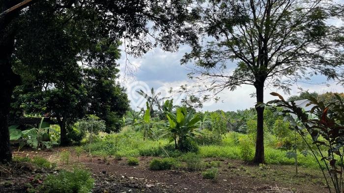 Tanah Dijual di Bekasi Seluas 7000m2 Strategis Tanah Dijual di Bekasi Seluas 7000m2 Strategis