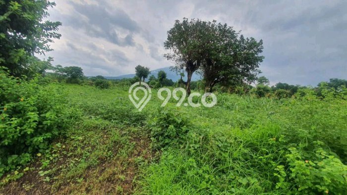 Kavling Tanah Dijual di Denpasar Timur Denpasar Spesifikasi 7900m2 Kavling Tanah Dijual di Denpasar Timur Denpasar Spesifikasi 7900m2