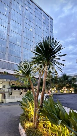 Apartemen Modern Dijual di Ngaglik, Sleman Punya 1 KT / 1 Kamar Mandi Apartemen Modern Dijual di Ngaglik, Sleman Punya 1 KT / 1 Kamar Mandi