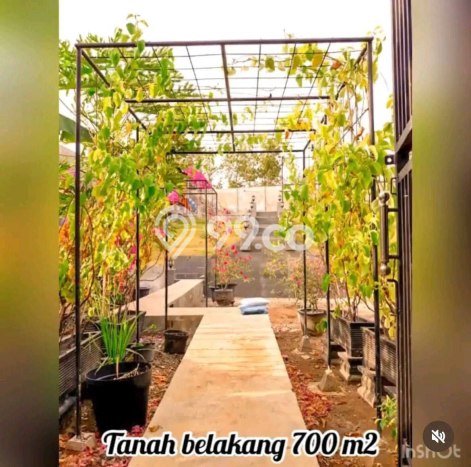 Rumah Berkelas 3 KT 1 KM di Kompleks Perumahan Semen, Kediri Rumah Berkelas 3 KT 1 KM di Kompleks Perumahan Semen, Kediri