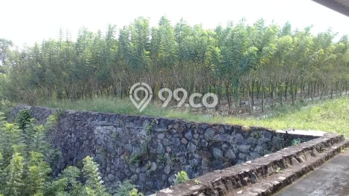 Lahan Dijual Lokasi Cikembar, Sukabumi dengan Luas Tanah 20570m2 dan Status SHM Lahan Dijual Lokasi Cikembar, Sukabumi dengan Luas Tanah 20570m2 dan Status SHM