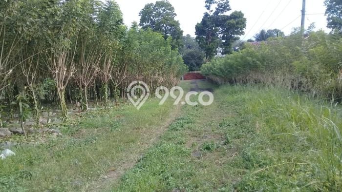 Lahan Dijual Lokasi Cikembar, Sukabumi dengan Luas Tanah 20570m2 dan Status SHM Lahan Dijual Lokasi Cikembar, Sukabumi dengan Luas Tanah 20570m2 dan Status SHM
