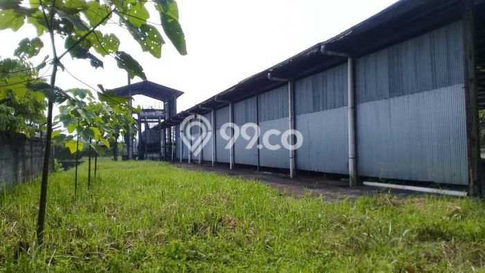 Lahan Dijual Lokasi Cikembar, Sukabumi dengan Luas Tanah 20570m2 dan Status SHM Lahan Dijual Lokasi Cikembar, Sukabumi dengan Luas Tanah 20570m2 dan Status SHM
