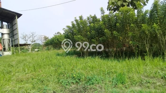 Lahan Dijual Lokasi Cikembar, Sukabumi dengan Luas Tanah 20570m2 dan Status SHM Lahan Dijual Lokasi Cikembar, Sukabumi dengan Luas Tanah 20570m2 dan Status SHM