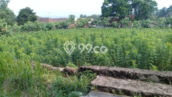 Lahan Dijual Lokasi Cikembar, Sukabumi dengan Luas Tanah 20570m2 dan Status SHM Lahan Dijual Lokasi Cikembar, Sukabumi dengan Luas Tanah 20570m2 dan Status SHM