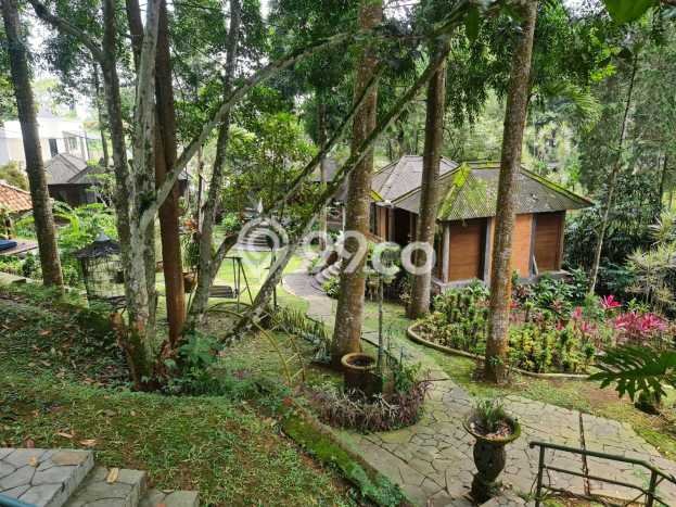 KESEMPATAN EMAS! Vila Kawasan Megamendung, Luas 7200m2m², Lokasi Eksklusif dengan keamanan terjaga KESEMPATAN EMAS! Vila Kawasan Megamendung, Luas 7200m2m², Lokasi Eksklusif dengan keamanan terjaga
