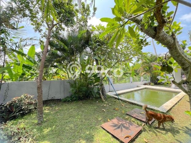Sewa Rumah Murah di Pererenan Badung Punya 2 KT Sewa Rumah Murah di Pererenan Badung Punya 2 KT