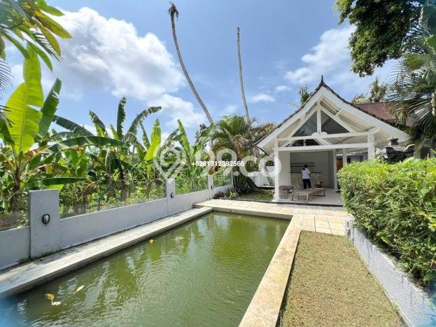 Sewa Rumah Murah di Pererenan Badung Punya 2 KT Sewa Rumah Murah di Pererenan Badung Punya 2 KT