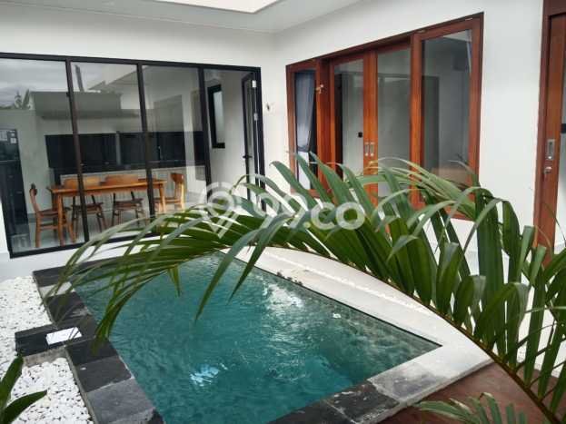 Sewa Rumah Murah di Tibubeneng Badung Punya 2 KT Sewa Rumah Murah di Tibubeneng Badung Punya 2 KT