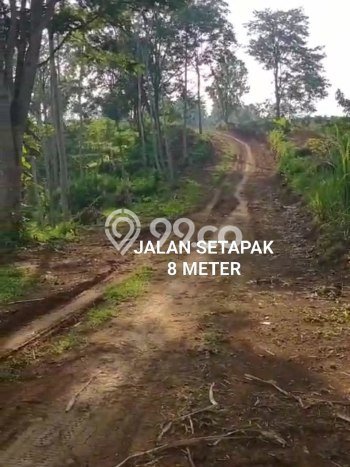 Dijual Tanah Kawasan Tutur, Luas 40000m2m², Lokasi Berkembang Dijual Tanah Kawasan Tutur, Luas 40000m2m², Lokasi Berkembang