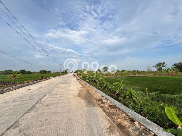 Jarang Ada! Tanah di Cerme Punya Luas 2350m2 SHM Jarang Ada! Tanah di Cerme Punya Luas 2350m2 SHM