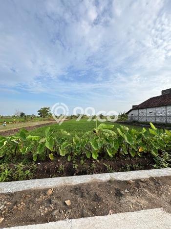 Jarang Ada! Tanah di Cerme Punya Luas 2350m2 SHM Jarang Ada! Tanah di Cerme Punya Luas 2350m2 SHM