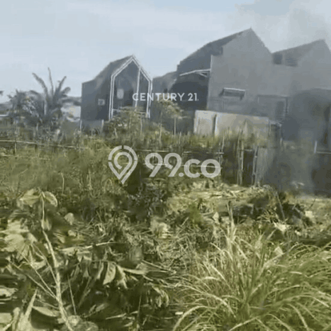 Kavling Tanah di Pamulang Dijual Luas 2809m2 Legalitas SHM Kavling Tanah di Pamulang Dijual Luas 2809m2 Legalitas SHM