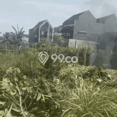 Kavling Tanah di Pamulang Dijual Luas 2809m2 Legalitas SHM Kavling Tanah di Pamulang Dijual Luas 2809m2 Legalitas SHM