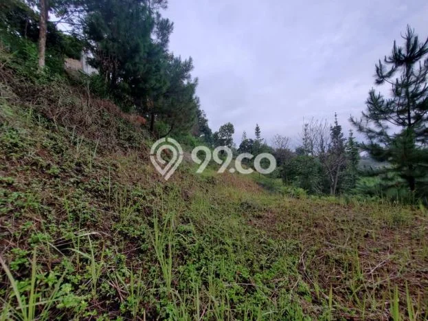 Lahan untuk Dijual di Lembang Bandung Barat Luas 1600m2 Lahan untuk Dijual di Lembang Bandung Barat Luas 1600m2