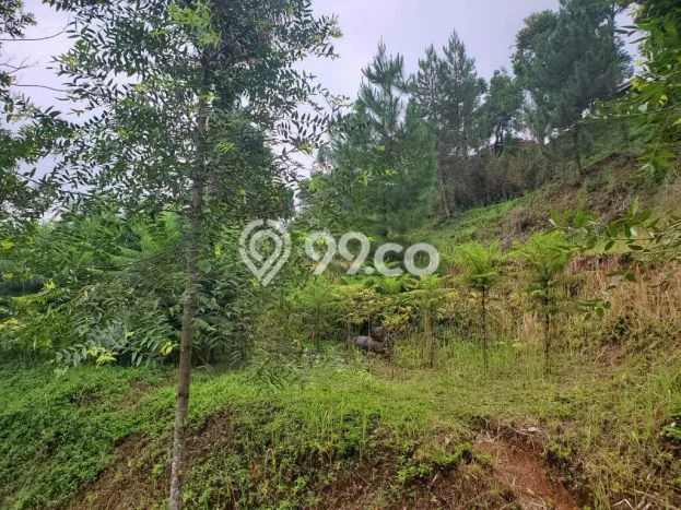 Lahan untuk Dijual di Lembang Bandung Barat Luas 1600m2 Lahan untuk Dijual di Lembang Bandung Barat Luas 1600m2