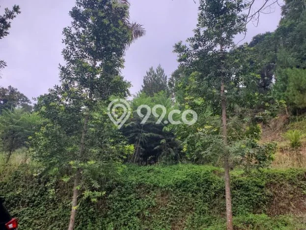 Lahan untuk Dijual di Lembang Bandung Barat Luas 1600m2 Lahan untuk Dijual di Lembang Bandung Barat Luas 1600m2