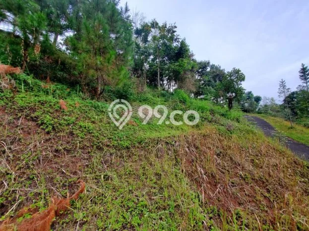 Lahan untuk Dijual di Lembang Bandung Barat Luas 1600m2 Lahan untuk Dijual di Lembang Bandung Barat Luas 1600m2