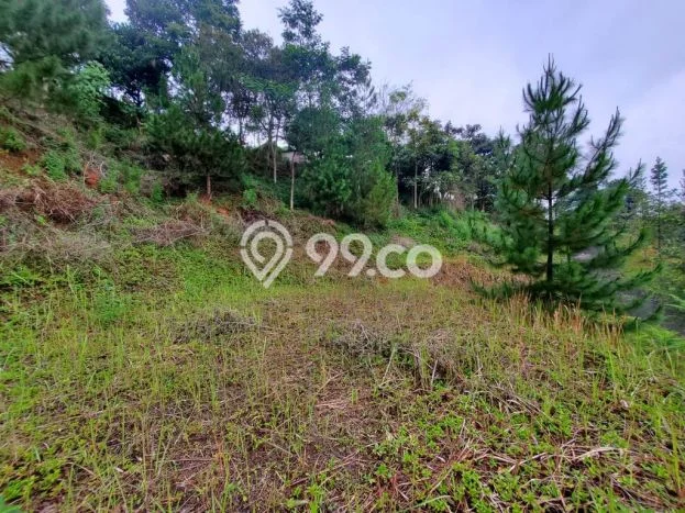 Lahan untuk Dijual di Lembang Bandung Barat Luas 1600m2 Lahan untuk Dijual di Lembang Bandung Barat Luas 1600m2