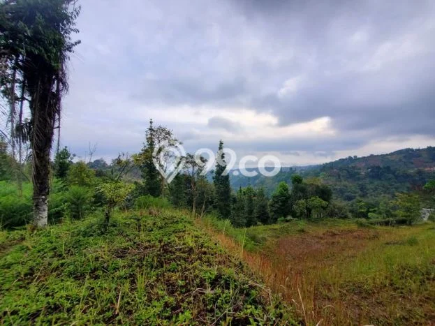 Lahan untuk Dijual di Lembang Bandung Barat Luas 1600m2 Lahan untuk Dijual di Lembang Bandung Barat Luas 1600m2