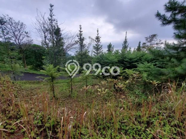 Lahan untuk Dijual di Lembang Bandung Barat Luas 1600m2 Lahan untuk Dijual di Lembang Bandung Barat Luas 1600m2