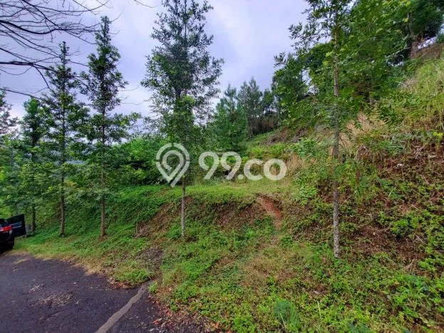 Lahan untuk Dijual di Lembang Bandung Barat Luas 1600m2 Lahan untuk Dijual di Lembang Bandung Barat Luas 1600m2