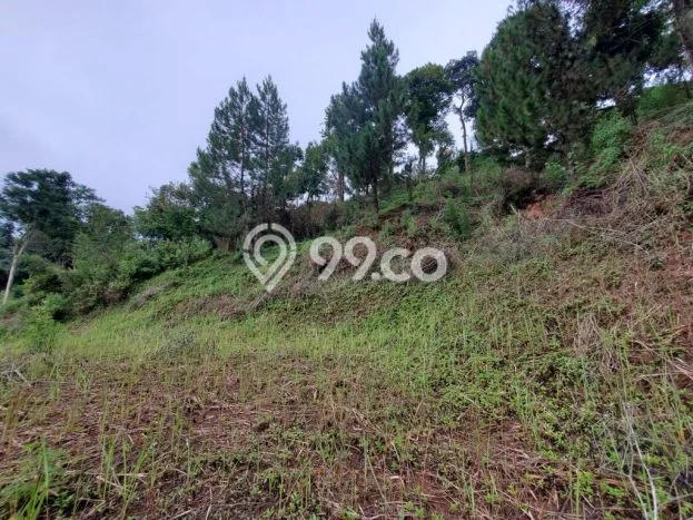 Lahan untuk Dijual di Lembang Bandung Barat Luas 1600m2 Lahan untuk Dijual di Lembang Bandung Barat Luas 1600m2