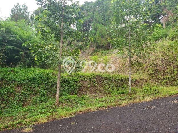 Lahan untuk Dijual di Lembang Bandung Barat Luas 1600m2 Lahan untuk Dijual di Lembang Bandung Barat Luas 1600m2