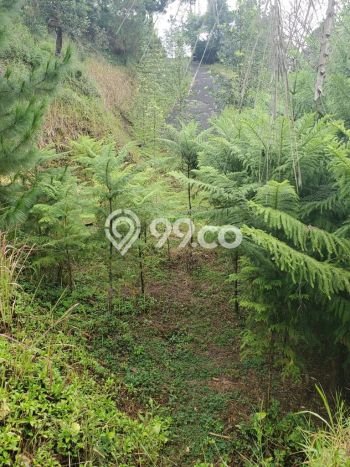 Lahan untuk Dijual di Lembang Bandung Barat Luas 1600m2 Lahan untuk Dijual di Lembang Bandung Barat Luas 1600m2