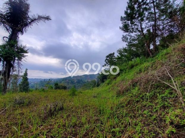 Lahan untuk Dijual di Lembang Bandung Barat Luas 1600m2 Lahan untuk Dijual di Lembang Bandung Barat Luas 1600m2
