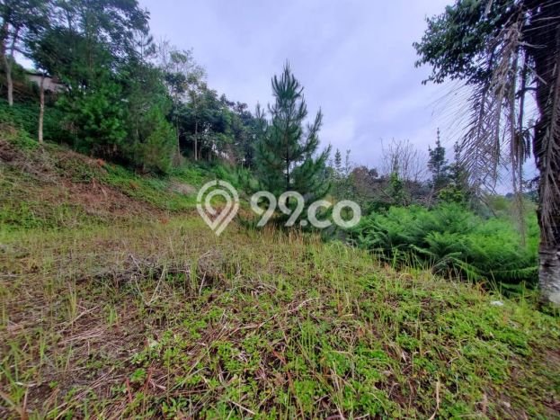 Lahan untuk Dijual di Lembang Bandung Barat Luas 1600m2 Lahan untuk Dijual di Lembang Bandung Barat Luas 1600m2