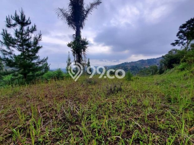 Lahan untuk Dijual di Lembang Bandung Barat Luas 1600m2 Lahan untuk Dijual di Lembang Bandung Barat Luas 1600m2