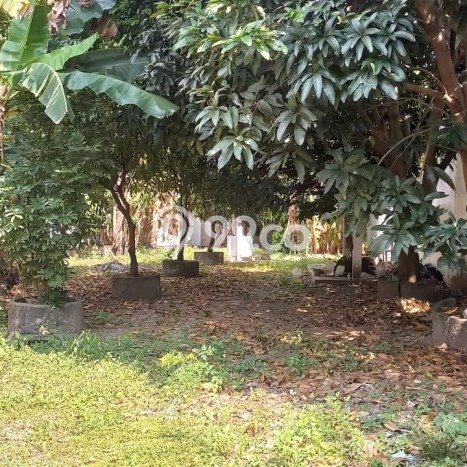 Dijual Tanah di Yogyakarta, Luas 619m2 SHM Dijual Tanah di Yogyakarta, Luas 619m2 SHM