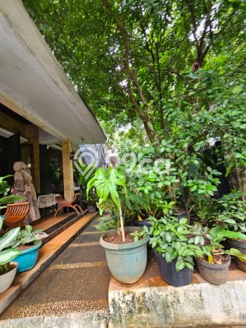 Siap Huni Rumah Mewah 6 Kamar di Kebayoran Baru Dekat ke Mana Saja Siap Huni Rumah Mewah 6 Kamar di Kebayoran Baru Dekat ke Mana Saja