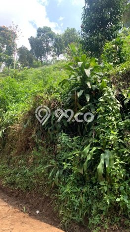 Tanah Dijual di Bandung Seluas 2750m2 Strategis Tanah Dijual di Bandung Seluas 2750m2 Strategis