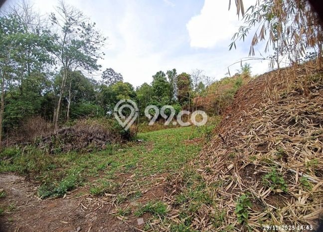 Tanah Kavling untuk Dijual di Cicalengka Bandung 23655m2 Tanah Kavling untuk Dijual di Cicalengka Bandung 23655m2