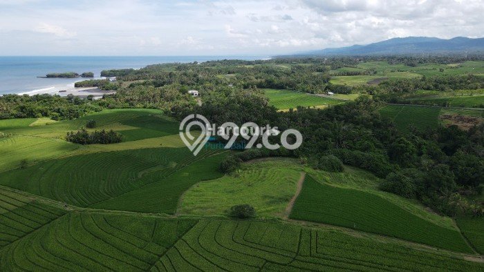 Kavling Tanah untuk Dijual di Klecung, Tabanan, Luas 11450m2 Kavling Tanah untuk Dijual di Klecung, Tabanan, Luas 11450m2