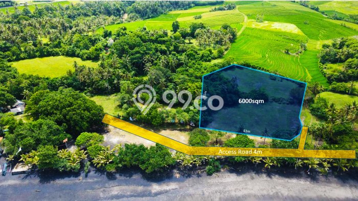 PROSPEKTIF! Tanah Kawasan Klecung, Luas 6000m2m², Lokasi Strategis PROSPEKTIF! Tanah Kawasan Klecung, Luas 6000m2m², Lokasi Strategis