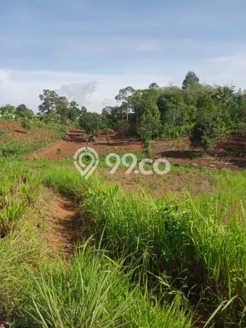 Dijual Tanah di Sukabumi, Luas 10600m2 SHM Dijual Tanah di Sukabumi, Luas 10600m2 SHM