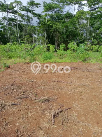 Dijual Tanah di Sukabumi, Luas 10600m2 SHM Dijual Tanah di Sukabumi, Luas 10600m2 SHM