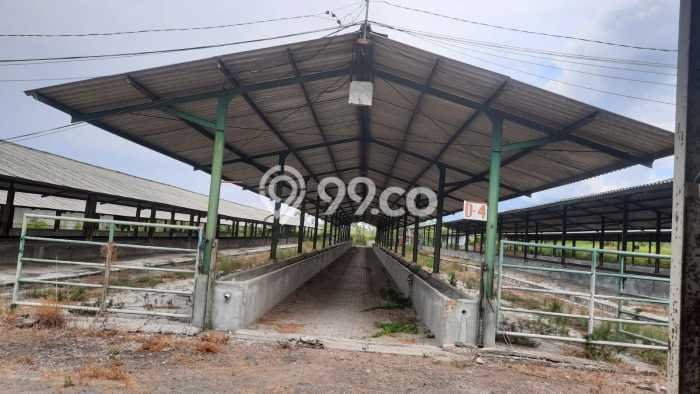 Dijual Tanah di Mojosari Mojokerto Luas 32000m2 SHM Dijual Tanah di Mojosari Mojokerto Luas 32000m2 SHM
