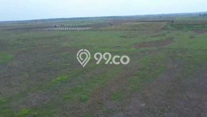LOKASI STRATEGIS! Tanah di Mesuji, Luas 7.23428e+06m², Area Nyaman, Cocok untuk Investasi LOKASI STRATEGIS! Tanah di Mesuji, Luas 7.23428e+06m², Area Nyaman, Cocok untuk Investasi