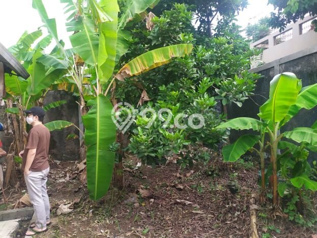 Rumah Minimalis 2 KT di Taman Yasmin Bogor Rumah Minimalis 2 KT di Taman Yasmin Bogor