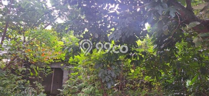 Kavling Tanah di Bogor Tengah Dijual Luas 1101m2 Legalitas - Kavling Tanah di Bogor Tengah Dijual Luas 1101m2 Legalitas -